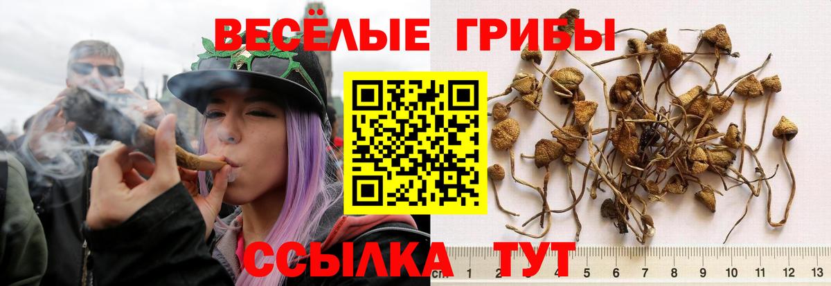 Изобильный  Псилоцибиновые грибы MAGIC MUSHROOMS  Вход с VPN 